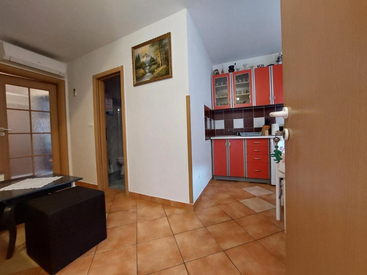 Leona Daire Novigrad Istria Dış mekan fotoğraf
