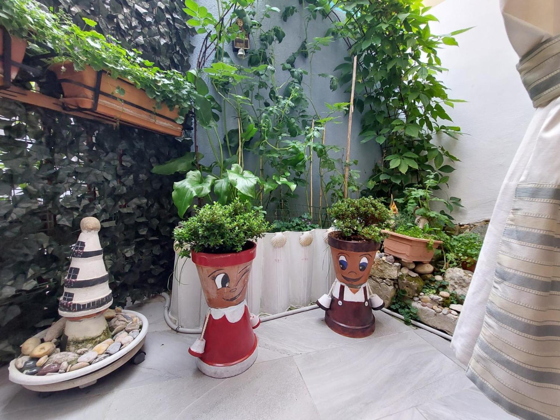Leona Daire Novigrad Istria Dış mekan fotoğraf