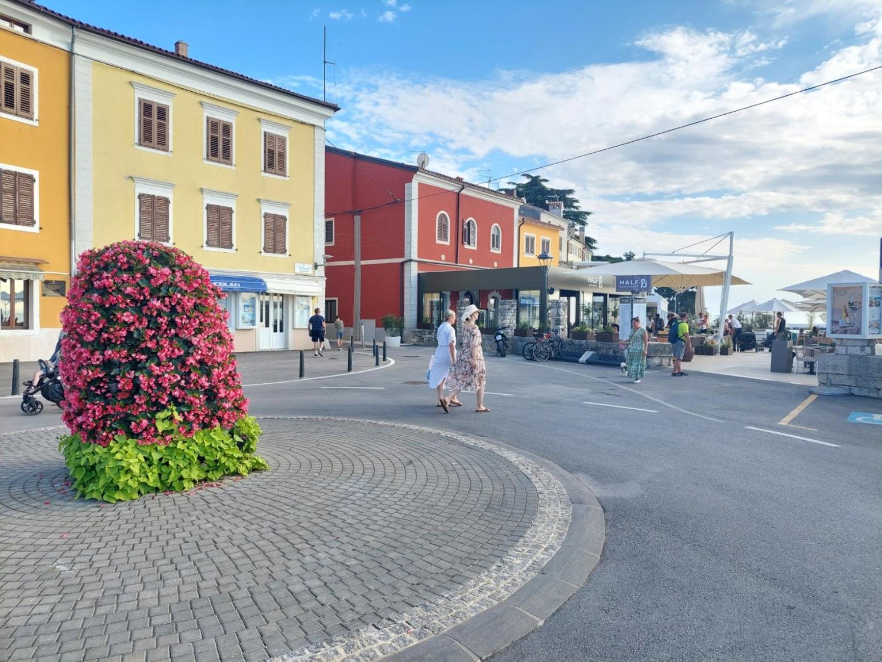Leona Daire Novigrad Istria Dış mekan fotoğraf