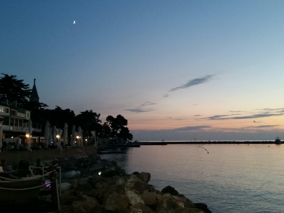 Leona Daire Novigrad Istria Dış mekan fotoğraf