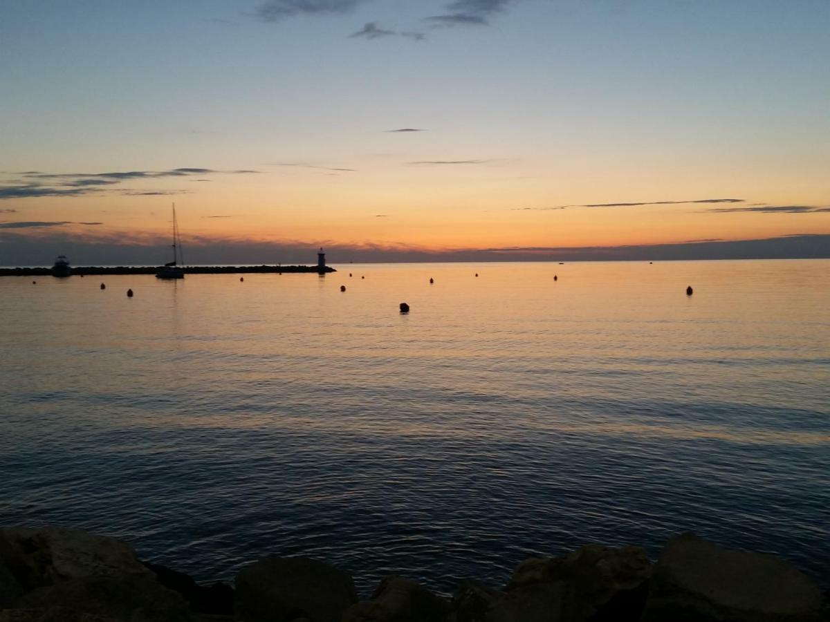 Leona Daire Novigrad Istria Dış mekan fotoğraf